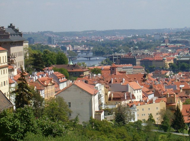 img00021.jpg